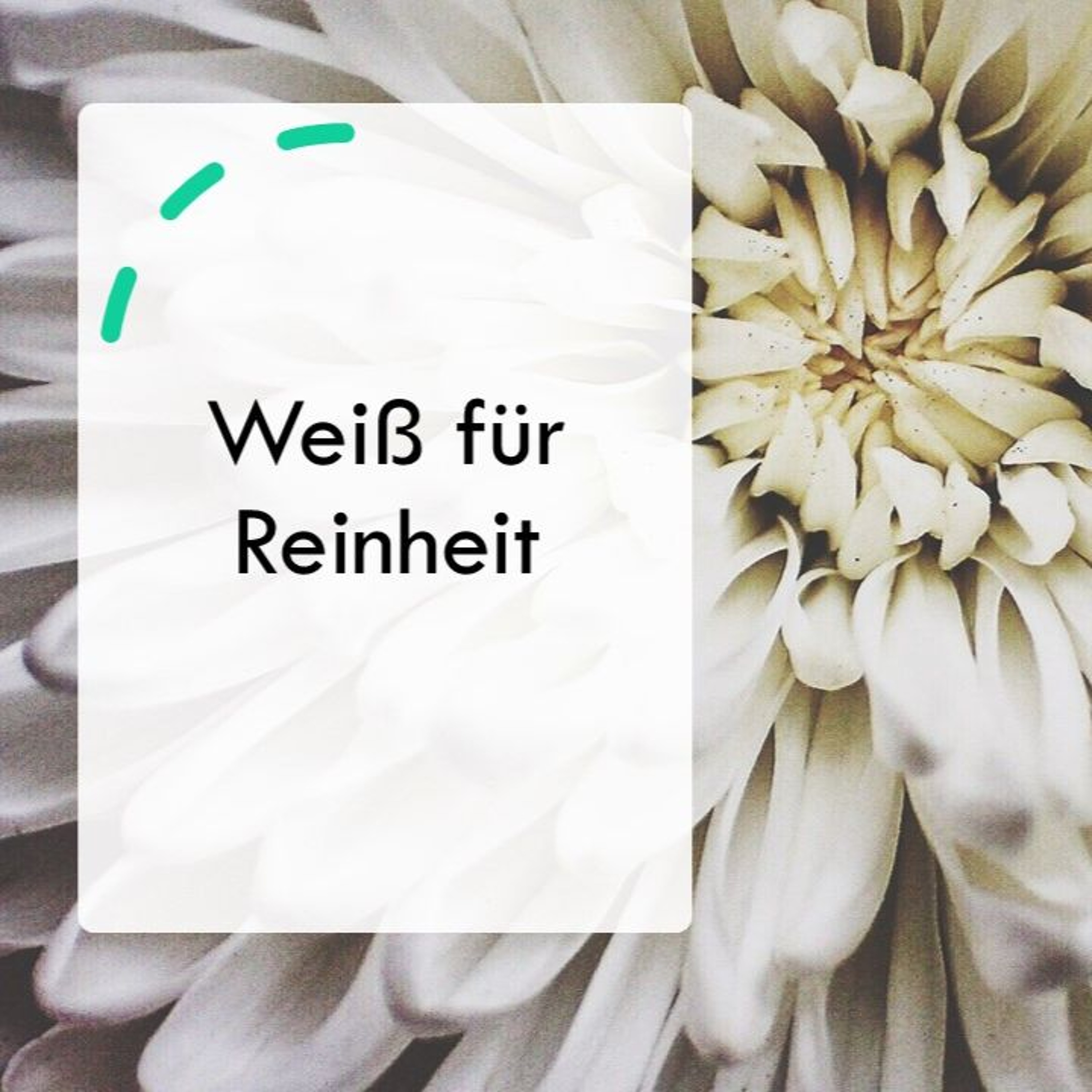 Weiß für Reinheit | White for Purity - Thierry Wouanang Yota