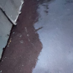 falling with the rain