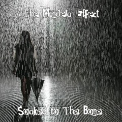 Soaked To The Bone