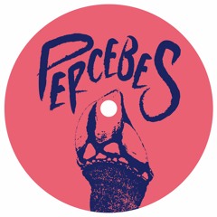 PREMIERE: Cyclonix - Butterfly Effect