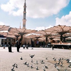 سبحان من بسط الأرض - طوبار.mp3