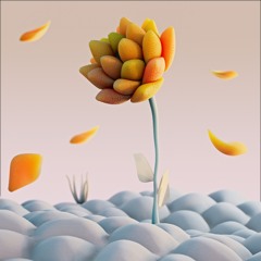 Sahar - Shakedown