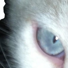 тебе не понять