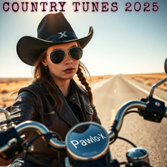 Bad to the bone (country)