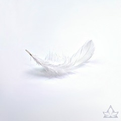 Belki de Ben Sevemedim