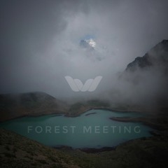 Forest Meeting