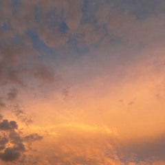 Remnants of a Dream - Instrumental