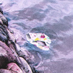 wrong direction (cover)