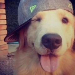 давайте домой!!!