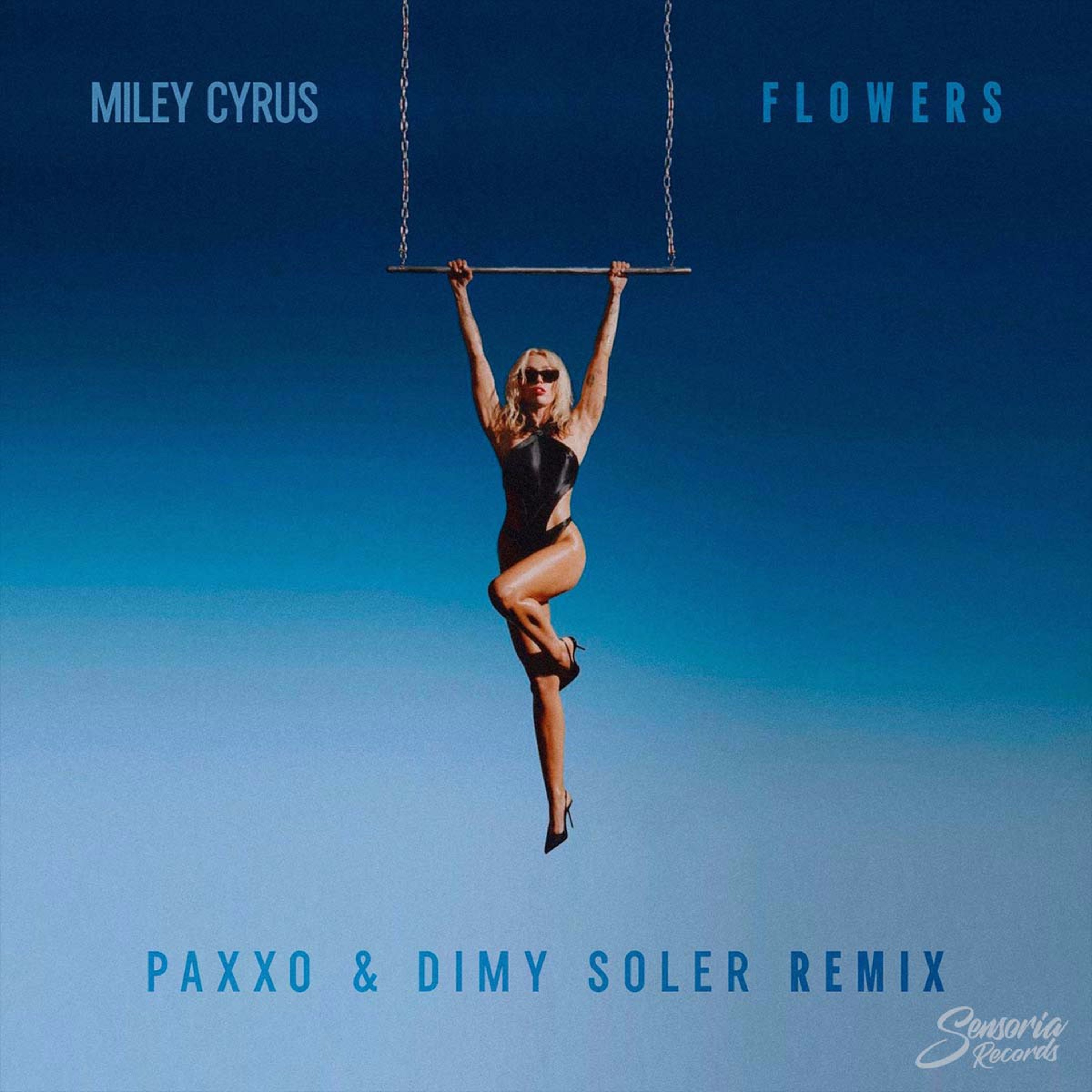 Miley Cyrus - Flowers (Paxxo & Dimy Soler Remix)(Free Download) episode artwork