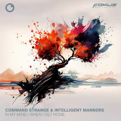 Intelligent Manners & Command Strange - When I Get Home
