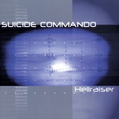 Hellraiser (VNV Nation Remix)