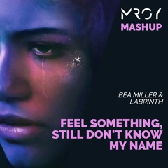Bea Miller &  Labrinth - Feel Something X Still Don't Know My Name (MΛRTIN ROY Mashup)