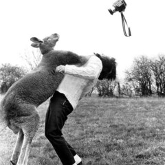 05 frEAks [From the LF "FISH"]