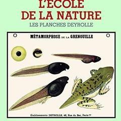 Lire L'école de la nature: Les planches Deyrolle en version ebook dbkbs