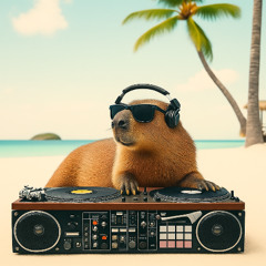 C-A-P-Y-B-A-R-A  (DJ Micky Remix)