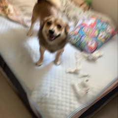 it!!. (prod. berzerk)