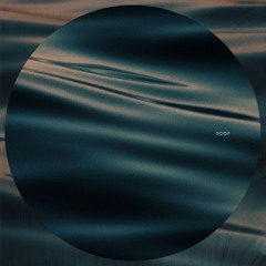 Soop - Shadow Man (Polygonia Remix) [Circular Limited]