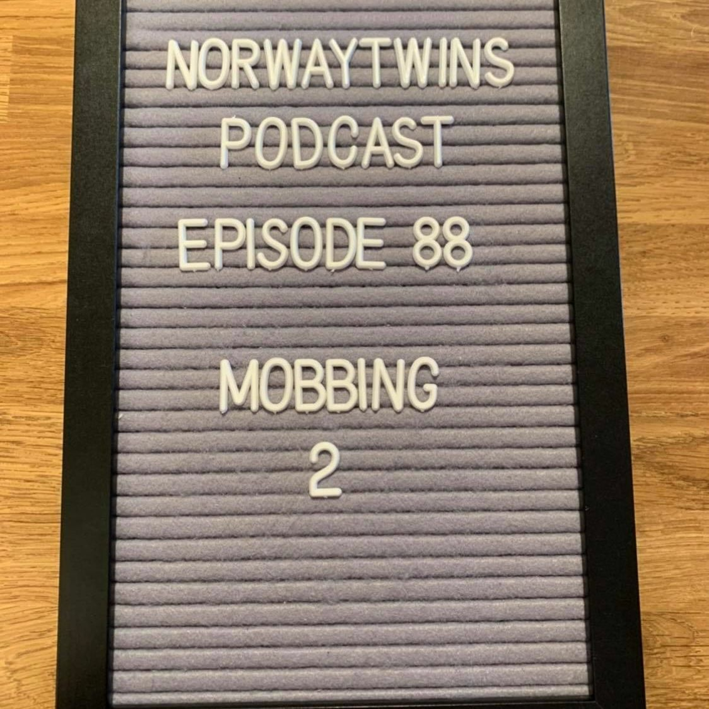 Norwaytwins om ting og tang