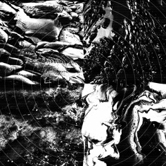 Cressida - Backbone [SEELEN010 | Premiere]