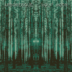 Wolf Moon