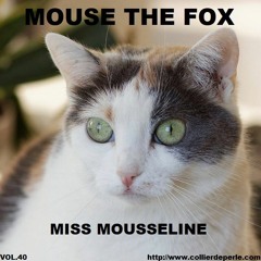MOUSE THE FOX - MISS MOUSSELINE - VOL.40 - 30.01.2022