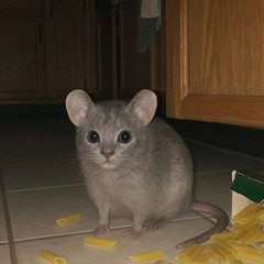 arium - fortnite (prod. deivi_pv)