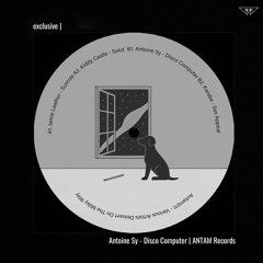 exclusive | Antoine Sy - Disco Computer | ANTAM Records