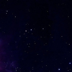 Star Gazer
