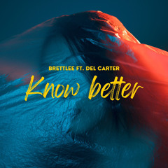 Know Better ft. Del carter