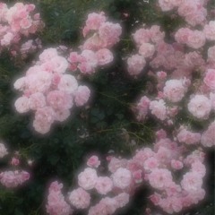 허회경 - 김철수 씨 이야기