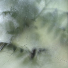 nauka oddychania~323rd breath~by stepping to the unknown, we learn what we are made of