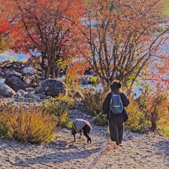 Baby Blue (2022 Version)