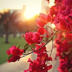 قلبك معدش ملكك ♥️