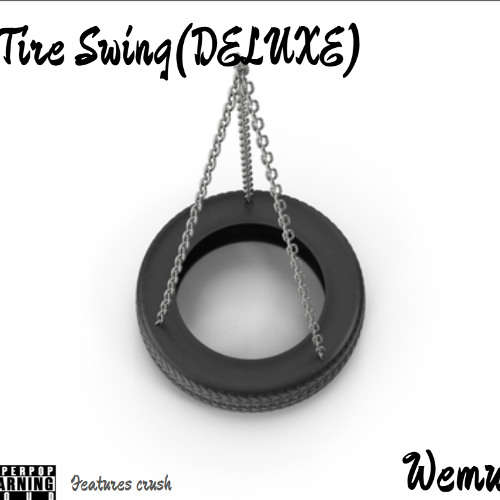 Intro-Tire Swing