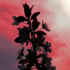 VagueSounds - Cuh Deh