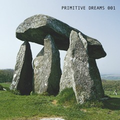 PRIMITIVE DREAMS 001