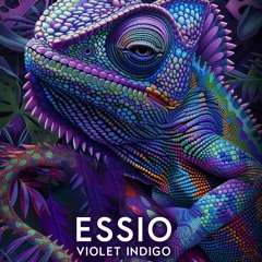 Dj Set 2024 06 - Violet Indigo