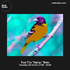Feed The Void w/ Birds 26/12/23