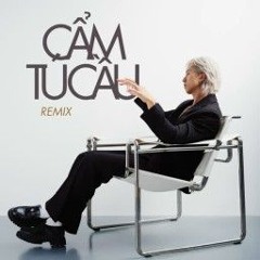Cẩm Tú Cầu - HinCoi x QuyMoc