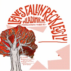 Wladimir M. - Leaves Fallin' Recklessly (dsr-eevo002) 2LP