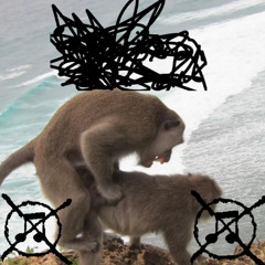 Monkey Sexx