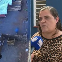 Crianca Mata 23 Animais Crianca De 9 Anos Mata Animais Criança Mata 23 Animais