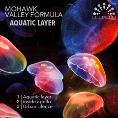 PREMIERE: Mohawk Valley Formula - Aquatic Layer [Blumoog Music]