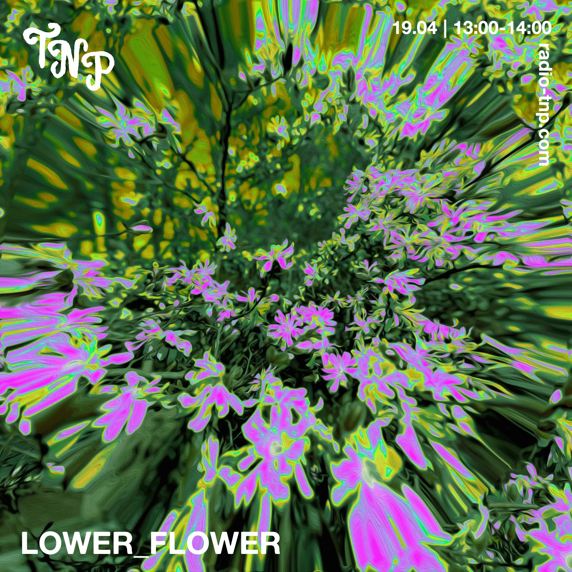 lower_flower
