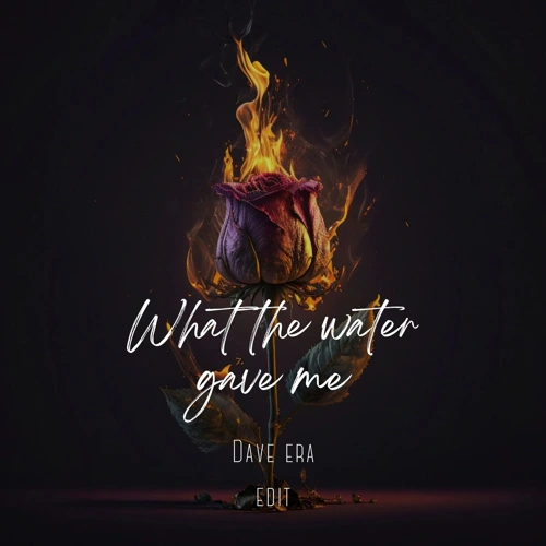 Artwork for the song What The Water Gave Me by DAVE ERA on Next Sound
