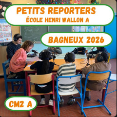 Petits reporters de l'école Henri Wallon : extraits