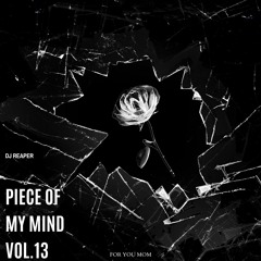 Piece Of My Mind Vol. 13