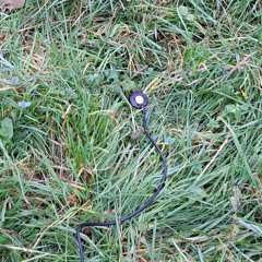 Under the meadow: running water