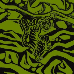 Tigercast 009 w/ DJ Problems (30.06.24)
